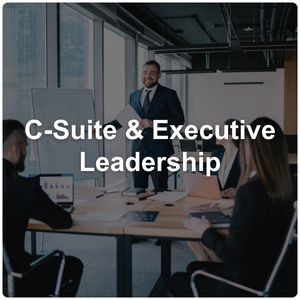 "C-Suite & Executive Leadership" clickable button